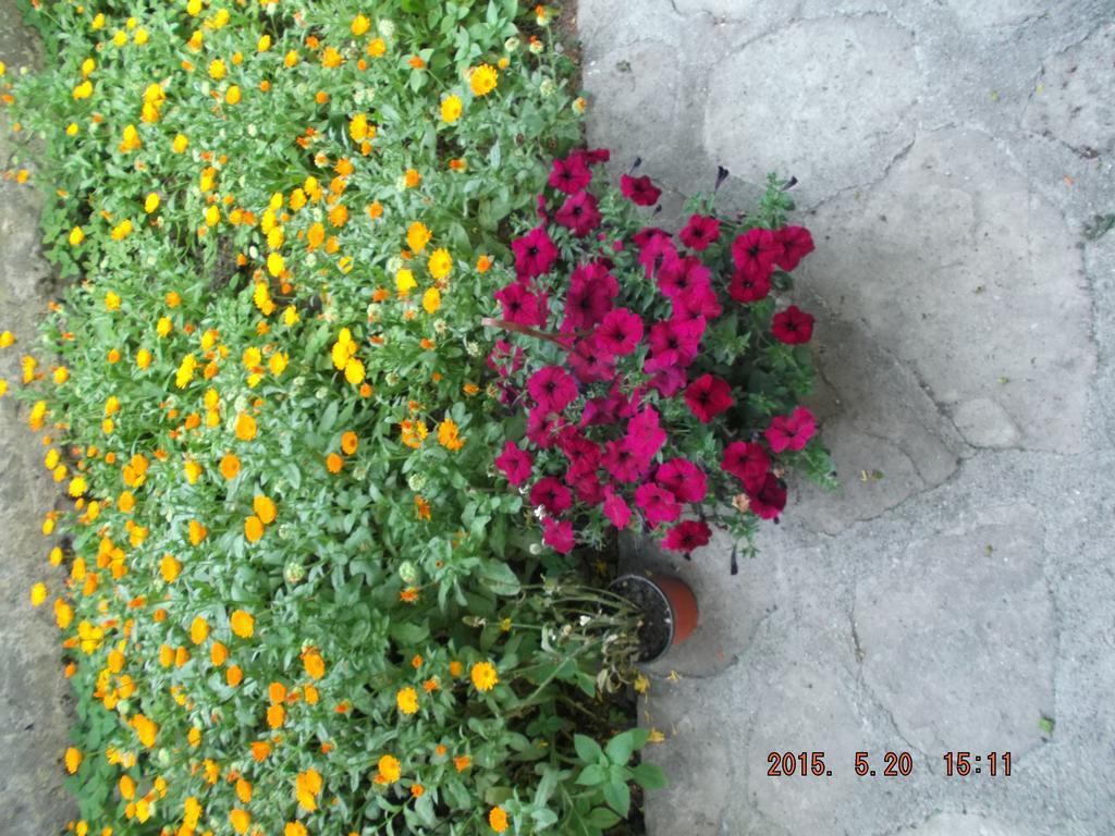 Beyaz Konak Green Garden Hotel Safranbolu Ngoại thất bức ảnh