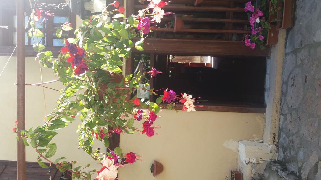 Beyaz Konak Green Garden Hotel Safranbolu Ngoại thất bức ảnh